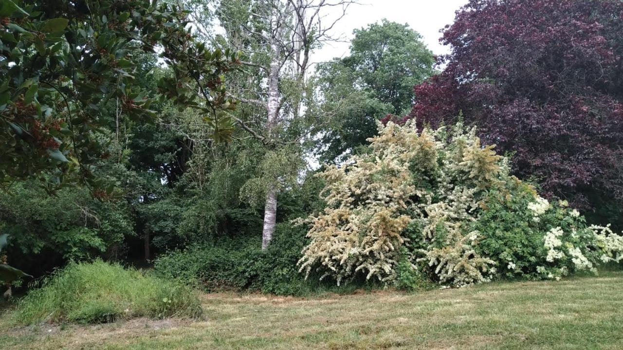 Saint-Martin-des-Champs  Chambre A La Ferme מראה חיצוני תמונה